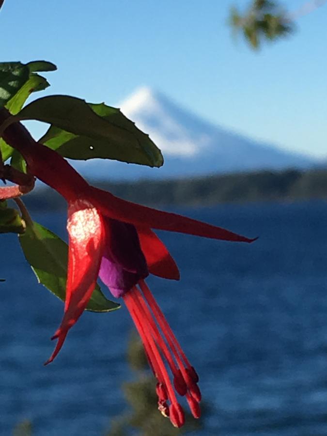 Cabanas Puerto Chalhuaco Puerto Varas Esterno foto